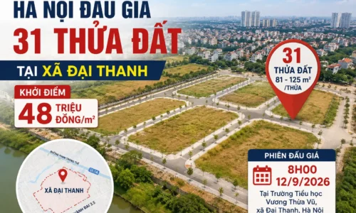 dat dau gia tai xa thanh tri nam 2026