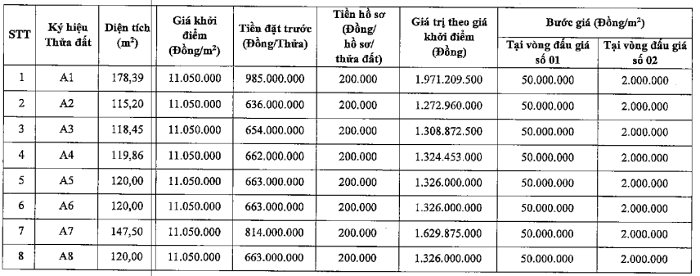 Hà Nội đấu giá 48 thửa đất, giá từ 11 triệu đồng/m² dau gia dat thien loc p1