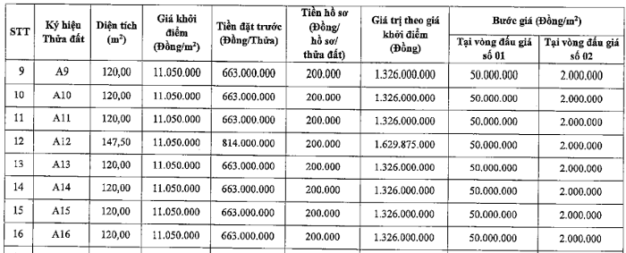 Hà Nội đấu giá 48 thửa đất, giá từ 11 triệu đồng/m² dau gia dat thien loc p2