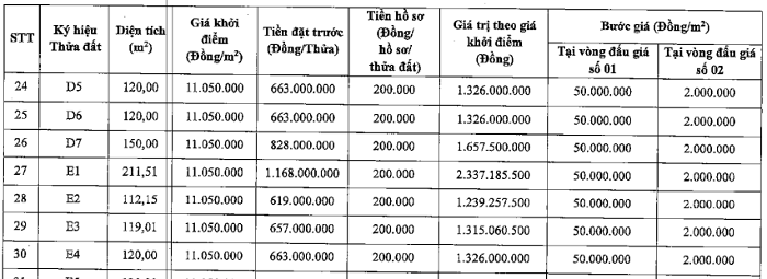 Hà Nội đấu giá 48 thửa đất, giá từ 11 triệu đồng/m² dau gia dat thien loc p4