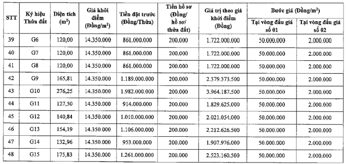 Hà Nội đấu giá 48 thửa đất, giá từ 11 triệu đồng/m² dau gia dat thien loc p6