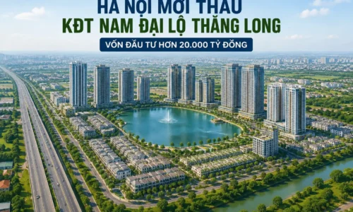 ha noi mo thau kdt nam dai lo thang long nam 2026